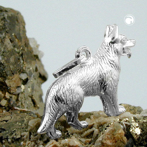 Hopeinen koirakoru / hopeariipus saksanpaimenkoira